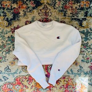 Champion cropped hoodie